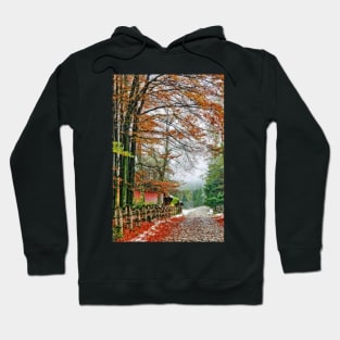 Street of Seasons. Hoodie